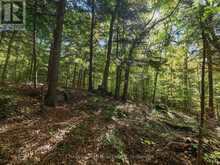 0 ESTONIAN CAMP ROAD | Huntsville Ontario | Slide Image Six