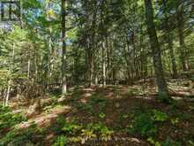 0 ESTONIAN CAMP ROAD | Huntsville Ontario | Slide Image Seven