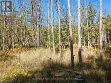 0 ESTONIAN CAMP ROAD | Huntsville Ontario | Slide Image Eight