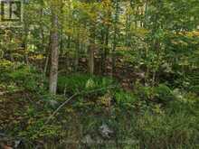 0 ESTONIAN CAMP ROAD | Huntsville Ontario | Slide Image Nine