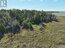 23 RABBIT | Georgian Bluffs Ontario | Slide Image Twelve