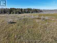 23 RABBIT | Georgian Bluffs Ontario | Slide Image Nine