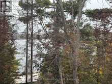 307 - 4 LAKE AVENUE | Haliburton Ontario | Slide Image Twenty-eight