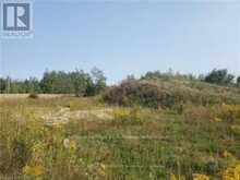 270 YOUNG STREET | Dundalk Ontario | Slide Image One