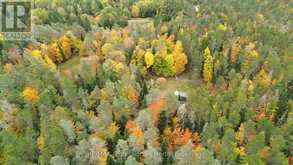 124 CARDWELL LAKE ROAD | Huntsville Ontario | Slide Image Thirteen