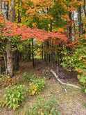 124 CARDWELL LAKE ROAD | Huntsville Ontario | Slide Image Seventeen