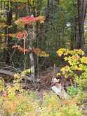 124 CARDWELL LAKE ROAD | Huntsville Ontario | Slide Image Eighteen