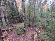 124 CARDWELL LAKE ROAD | Huntsville Ontario | Slide Image Nineteen