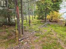 124 CARDWELL LAKE ROAD | Huntsville Ontario | Slide Image Twenty