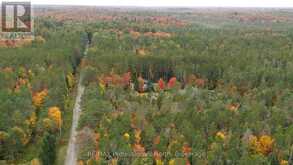 124 CARDWELL LAKE ROAD | Huntsville Ontario | Slide Image Twenty-one
