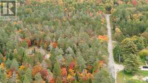 124 CARDWELL LAKE ROAD | Huntsville Ontario | Slide Image Twenty-two