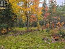 124 CARDWELL LAKE ROAD | Huntsville Ontario | Slide Image Six