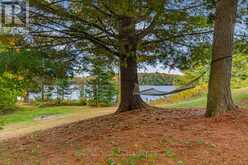 134 JOHNSTON ROAD | Magnetawan Ontario | Slide Image Thirty-six