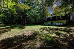 3962 169 MUSKOKA ROAD | Port Carling Ontario | Slide Image Nineteen