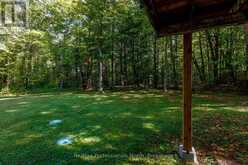 3962 169 MUSKOKA ROAD | Port Carling Ontario | Slide Image Twenty