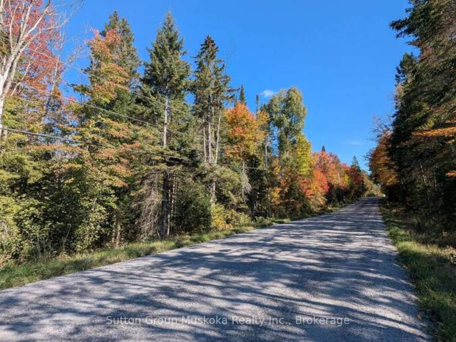 00 SAVAGE SETTLEMENT ROAD, Emsdale, Ontario P0A 1Y0