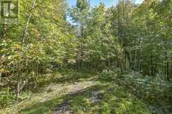 115 JONES ROAD | Gravenhurst Ontario | Slide Image Thirty-nine