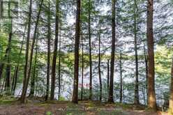 1058 TIMBER TRAIL | Bracebridge Ontario | Slide Image Thirty-two
