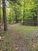 160 WEST POINT SANDS ROAD | Huntsville Ontario | Slide Image Twenty-two