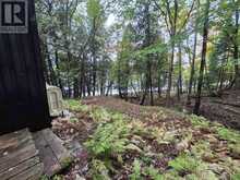 160 WEST POINT SANDS ROAD | Huntsville Ontario | Slide Image Twenty-four