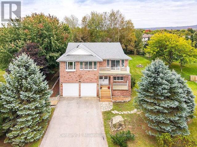 46 DONALD AVENUE Nottawa Ontario, L0M 1P0 - 7 Bedrooms Home For Sale