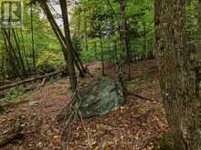 481 GRYFFIN LODGE ROAD | Huntsville Ontario | Slide Image Six