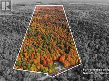 4226 ASPDIN ROAD | Utterson Ontario | Slide Image Two