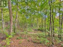 4226 ASPDIN ROAD | Utterson Ontario | Slide Image Thirty-eight