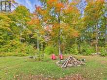 4226 ASPDIN ROAD | Utterson Ontario | Slide Image Forty
