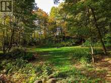 4226 ASPDIN ROAD | Utterson Ontario | Slide Image Forty-five