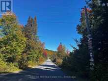 1474 ETWELL ROAD | Huntsville Ontario | Slide Image Fifty