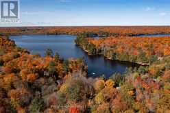 1042 S MENOMINEE LAKE ROAD | Baysville Ontario | Slide Image Six