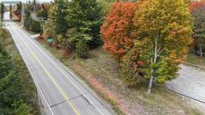 10417 COUNTY ROAD 503 | Highlands East Ontario | Slide Image Thirty-two