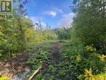 122 JAMES STREET | The Blue Mountains Ontario | Slide Image One