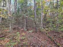 3907 STISTED ROAD | McMurrich/Monteith Ontario | Slide Image Ten
