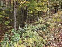 3907 STISTED ROAD | McMurrich/Monteith Ontario | Slide Image Eleven