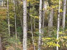 3907 STISTED ROAD | McMurrich/Monteith Ontario | Slide Image Twelve