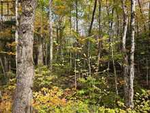 3907 STISTED ROAD | McMurrich/Monteith Ontario | Slide Image Thirteen