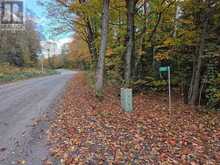 3907 STISTED ROAD | McMurrich/Monteith Ontario | Slide Image Two