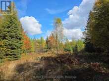 3907 STISTED ROAD | McMurrich/Monteith Ontario | Slide Image Five