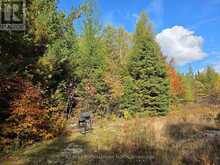3907 STISTED ROAD | McMurrich/Monteith Ontario | Slide Image Six