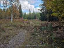 3907 STISTED ROAD | McMurrich/Monteith Ontario | Slide Image Eight
