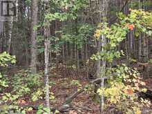 3907 STISTED ROAD | McMurrich/Monteith Ontario | Slide Image Nine