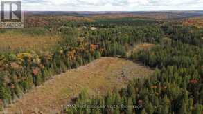 3907 STISTED ROAD | McMurrich/Monteith Ontario | Slide Image Thirty