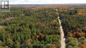 3907 STISTED ROAD | McMurrich/Monteith Ontario | Slide Image Thirty-four