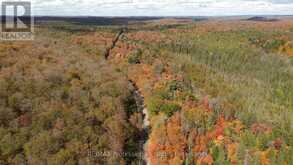 3907 STISTED ROAD | McMurrich/Monteith Ontario | Slide Image Thirty-five