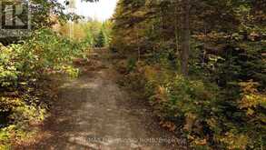 3907 STISTED ROAD | McMurrich/Monteith Ontario | Slide Image Twenty-eight