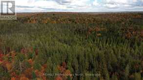 3907 STISTED ROAD | McMurrich/Monteith Ontario | Slide Image Thirty-two
