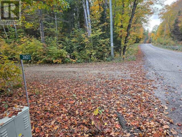 3907 STISTED ROAD McMurrich/Monteith Ontario, P0A 1Y0 - Vacant Land For Sale