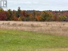 LOT 18 CONCESSION 3 STREET | Seguin Ontario | Slide Image Thirteen